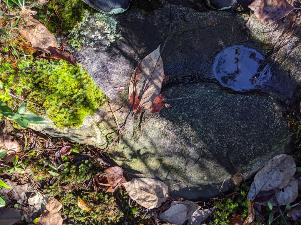  Photo by Carin Wagner 